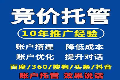 SEM投放策略：成功案例解析